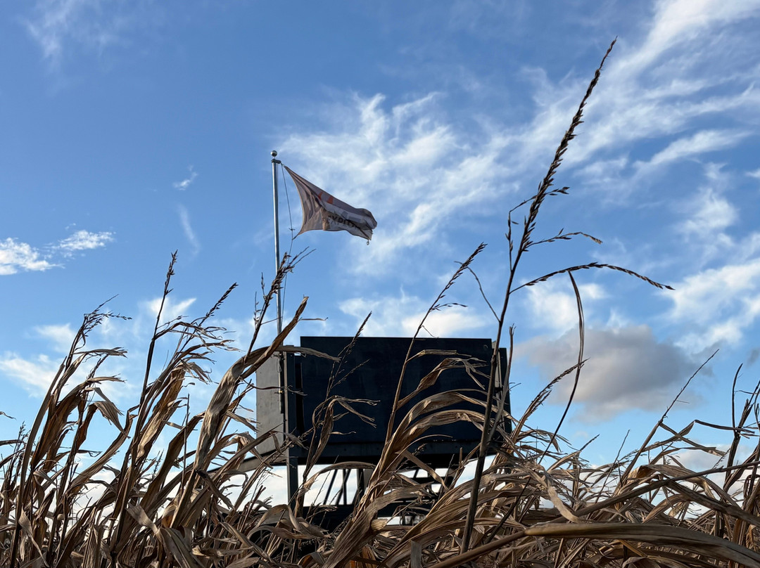 Notts Maze-诺丁汉必去景点