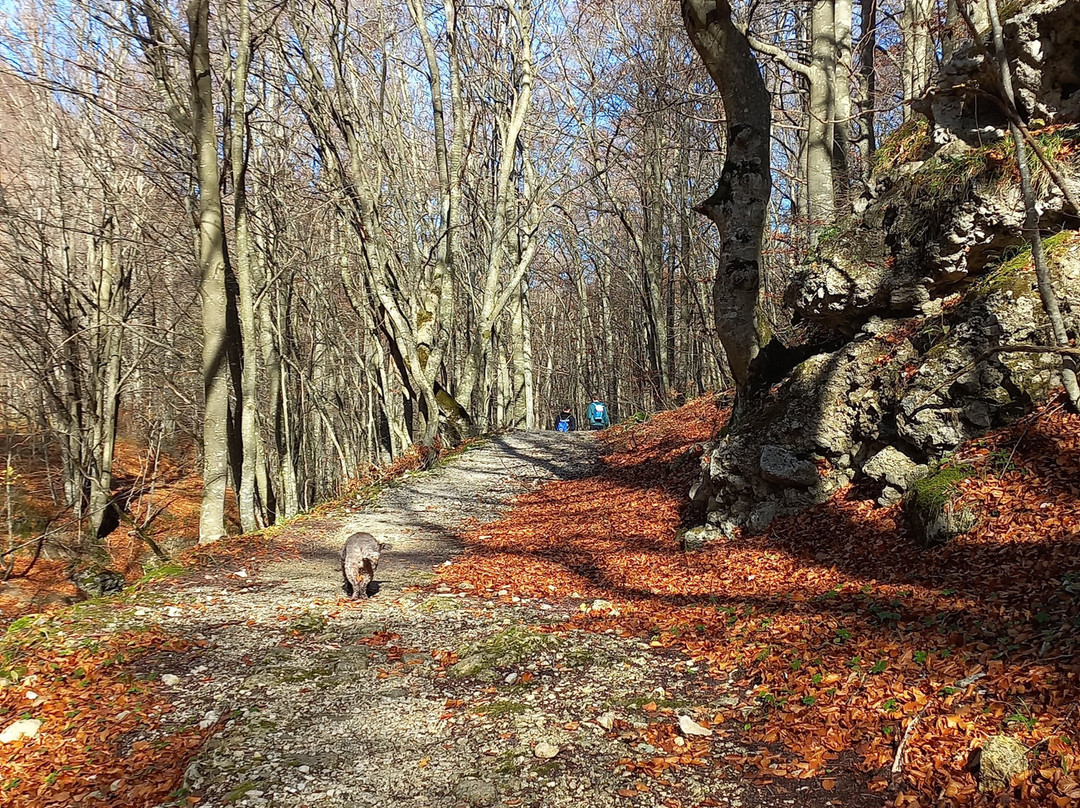 Prati di Tivo-Pietracamela必去景点