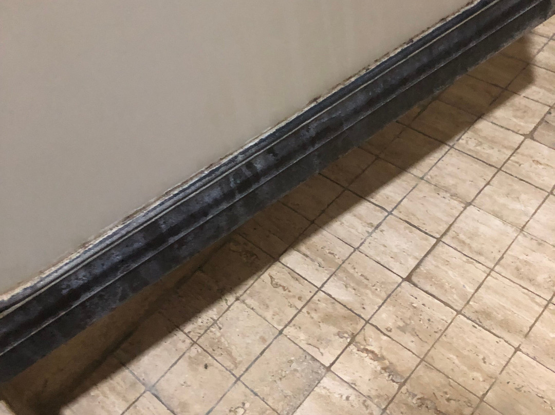 San Antonio Hotel主图