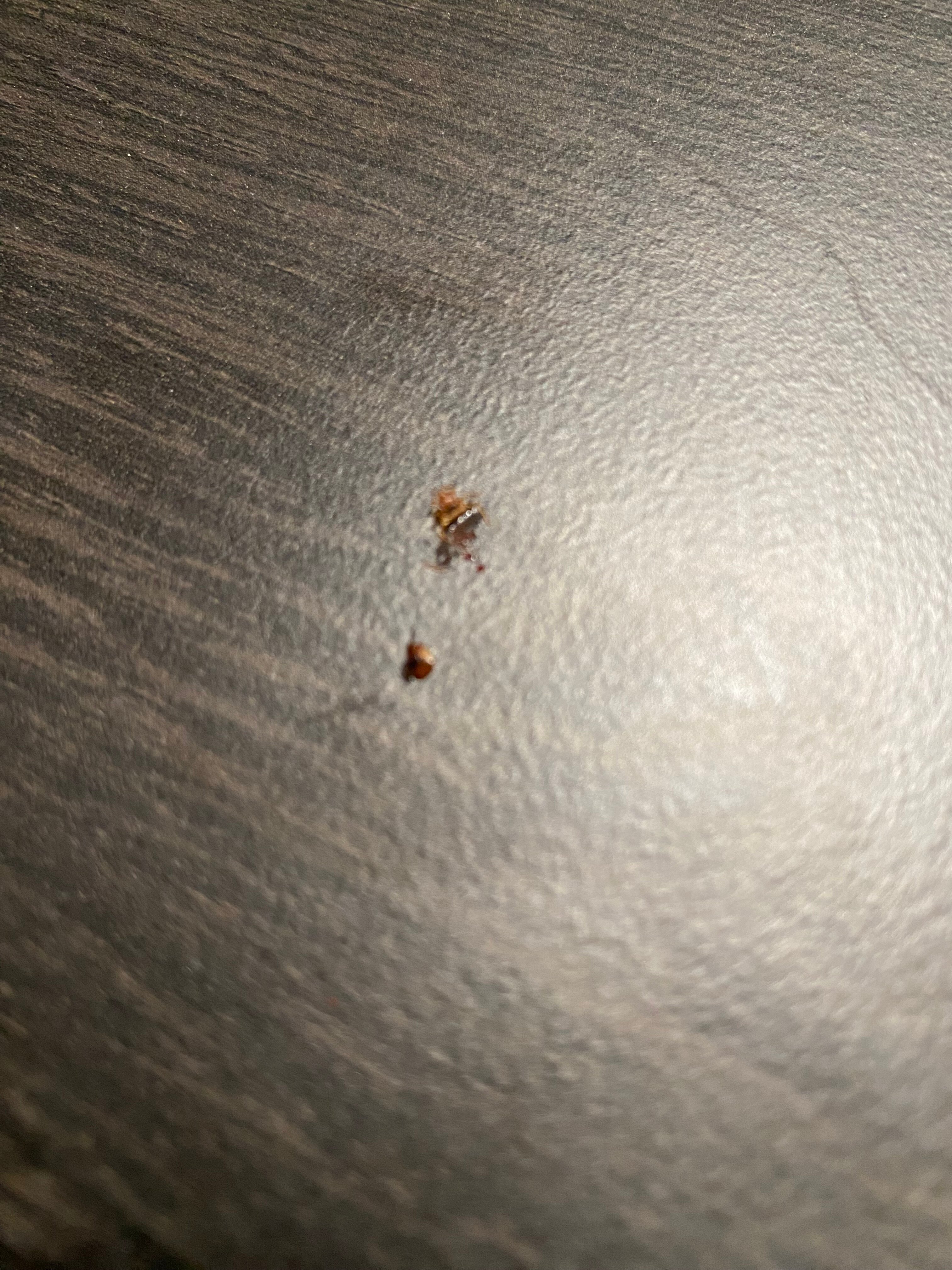 Motel 6 Chicago, IL - Joliet - I-55-官方