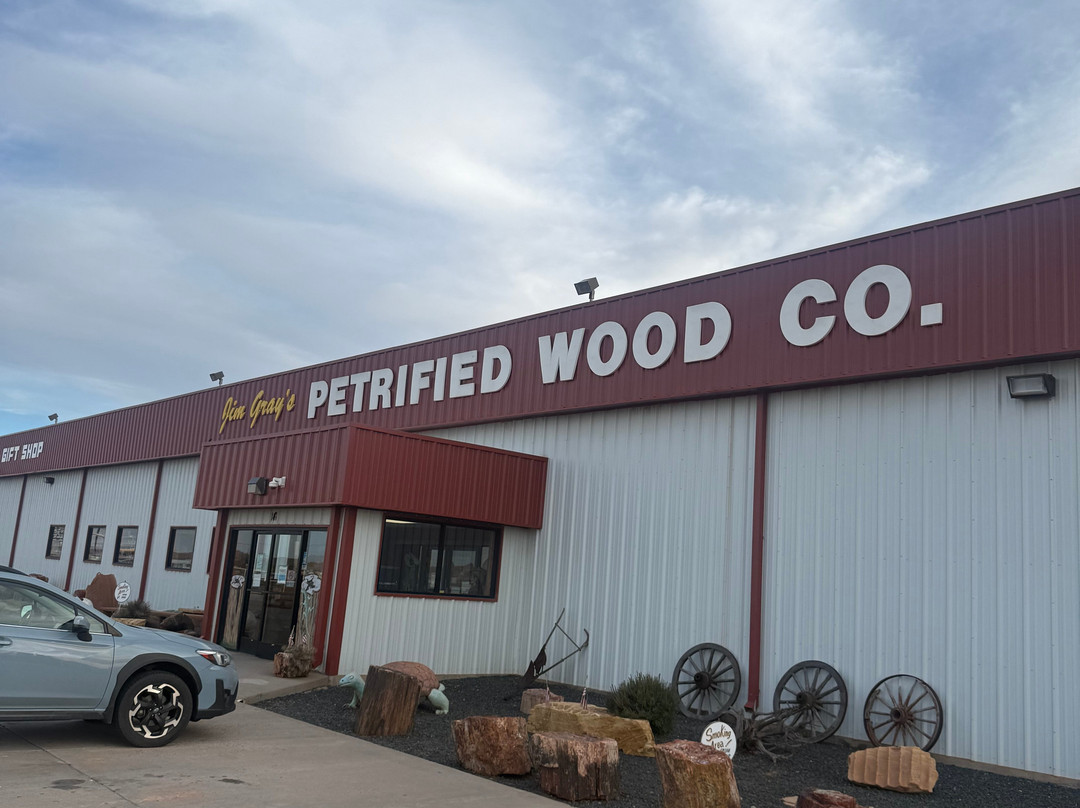 Jim Gray's Petrified Wood Co.-霍尔布鲁克必去景点