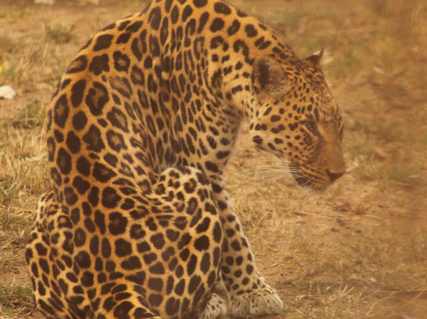 My Africa Safaris-霍德斯普鲁特必去景点