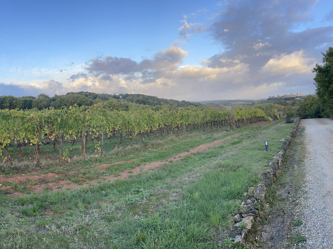 Borgo De Brandi主图