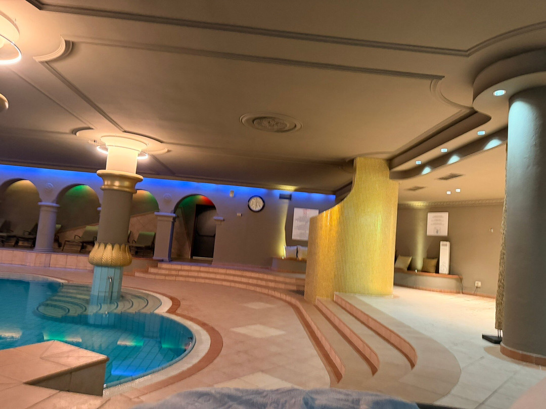 Hotel Tirolensis主图