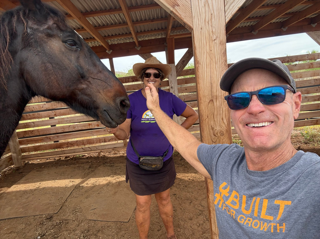 Maui Animal Farm-拉海纳必去景点