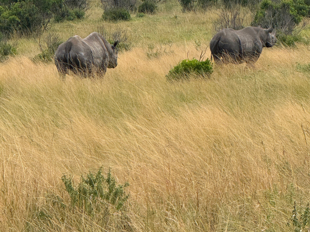 Tuthie afrika-纳库鲁必去景点