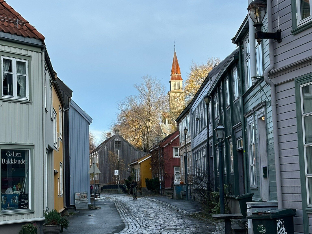 Old Town Bridge-特隆赫姆必去景点