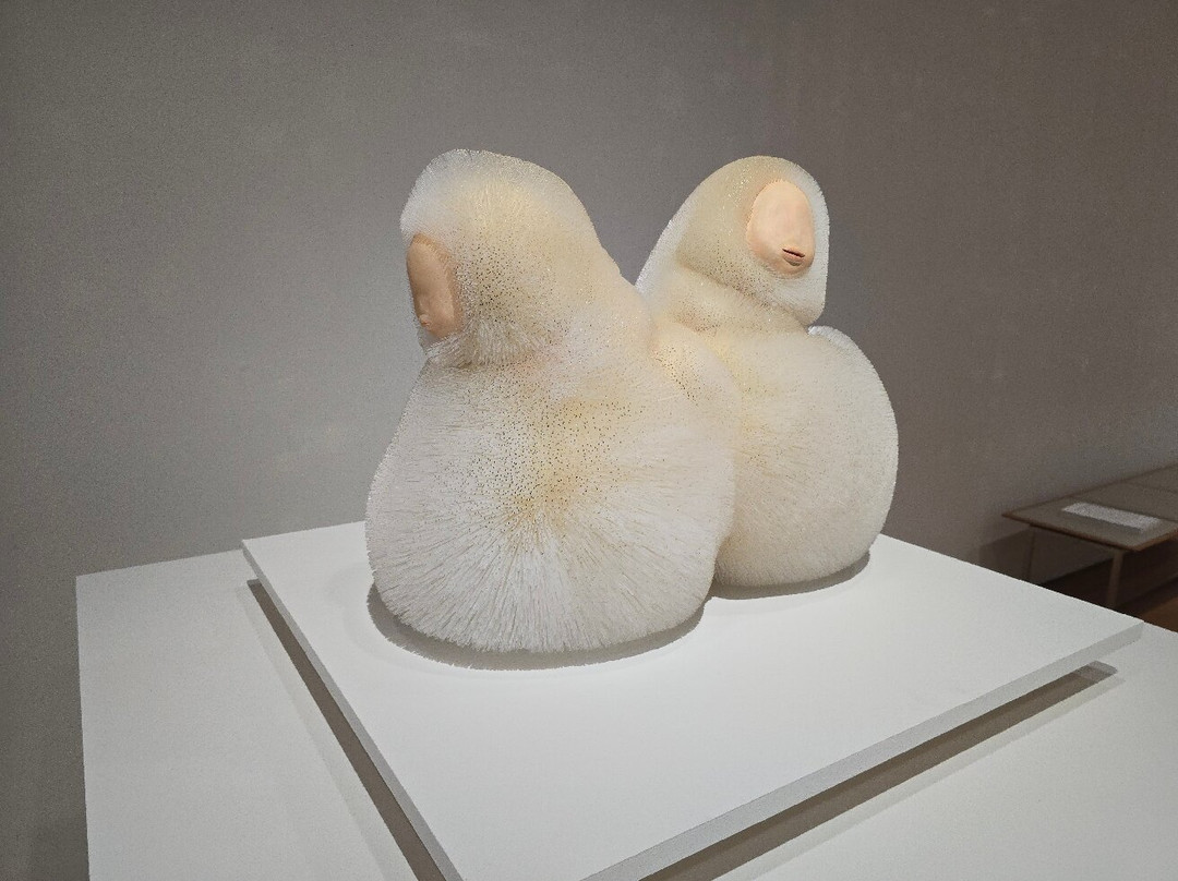 富山市玻璃美术馆-富山市必去景点