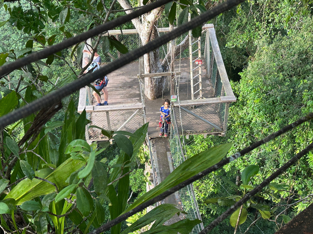 Camp Canopée-Kourou必去景点