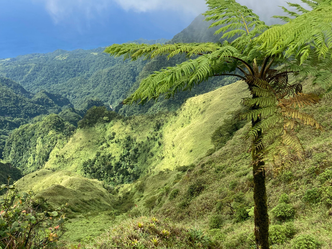 Rando A2Pas-Ducos必去景点