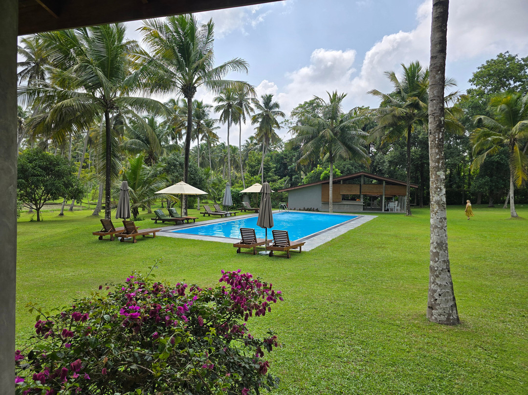 Dambadeniya酒店住宿-Ambarella Lodge & Spice Garden