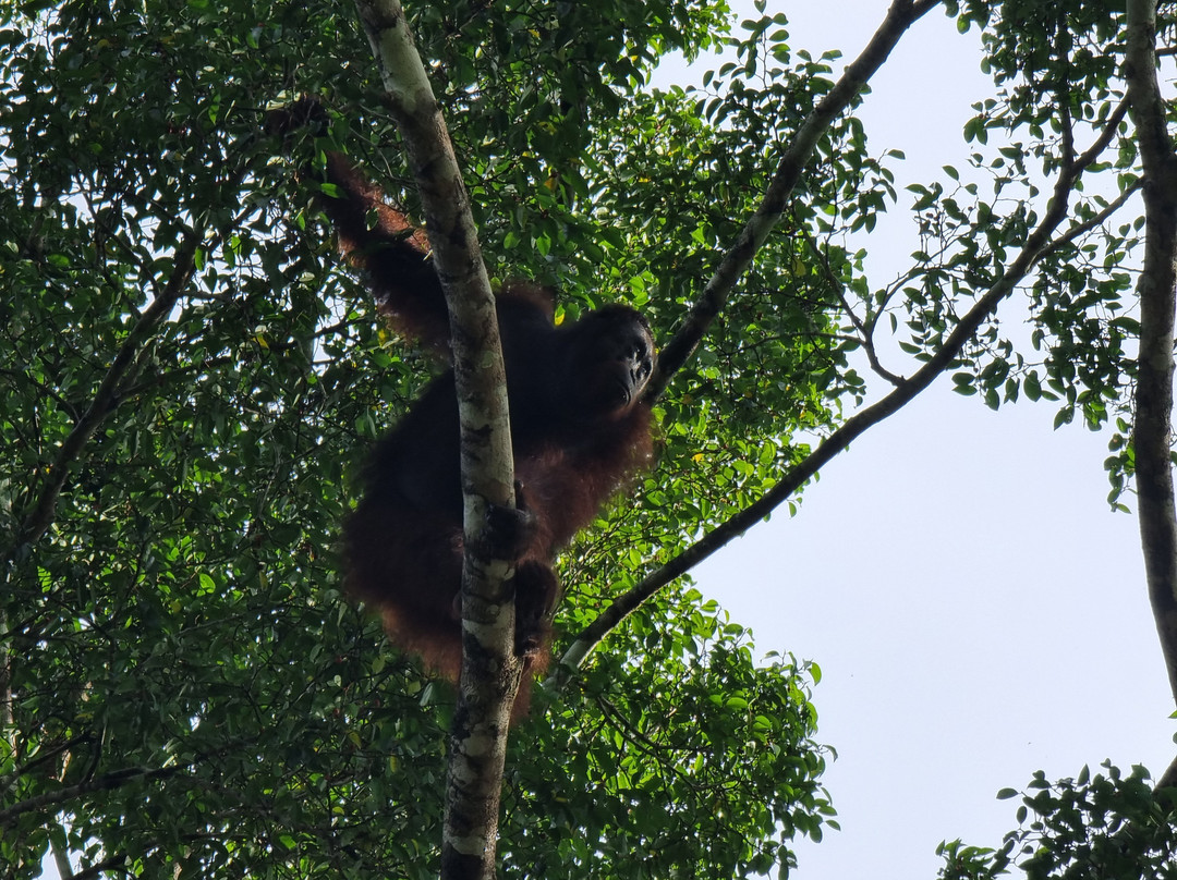 西必洛克自然度假村主图