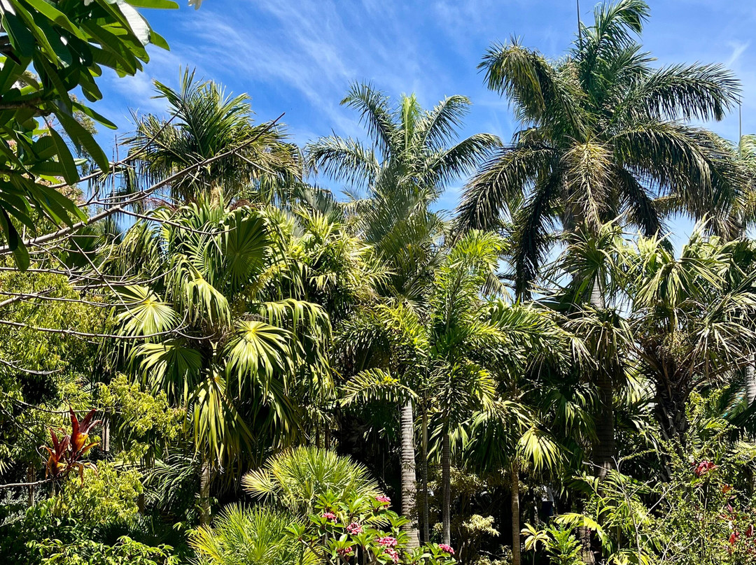 Domaine Du Cafe Grille-留尼旺圣皮耶必去景点