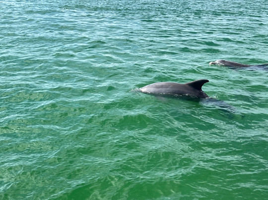 Flora-Bama Marina-橙色海湾必去景点