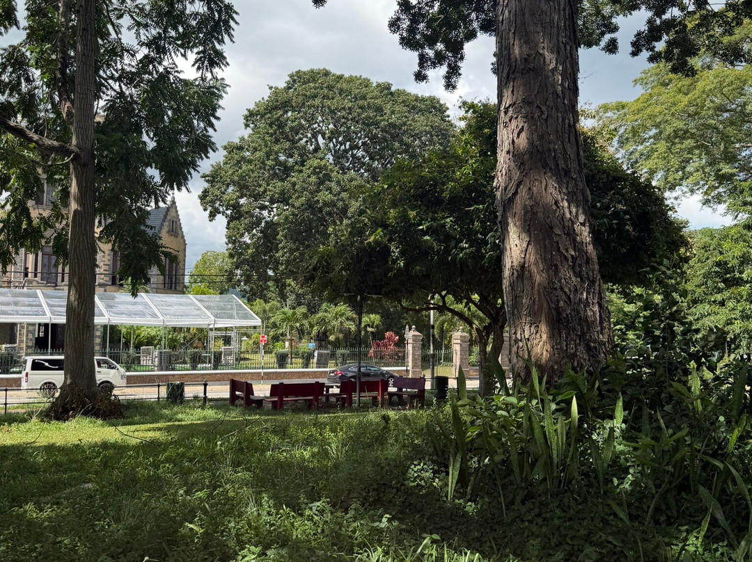 萨瓦纳女王公园-西班牙港必去景点