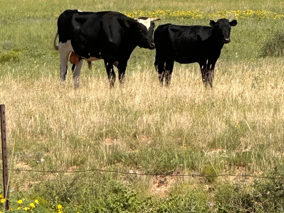 Oswald Vineyard-Brownfield必去景点