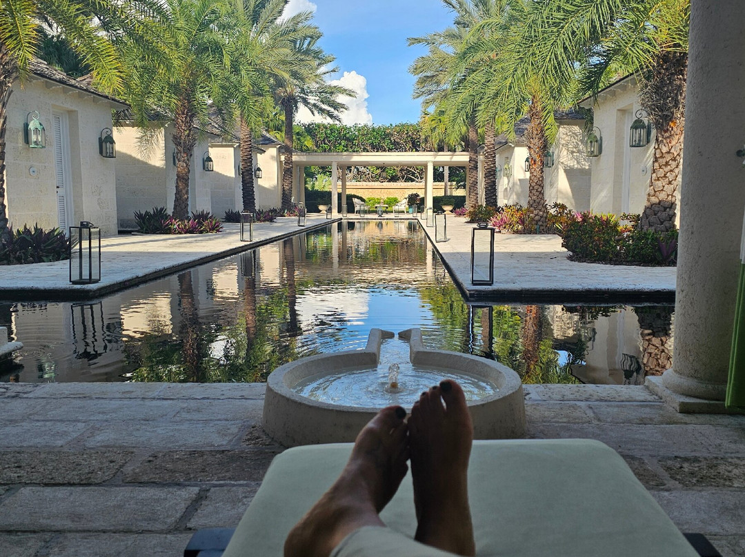 The Spa at The Palms-普罗维登西亚莱斯必去景点