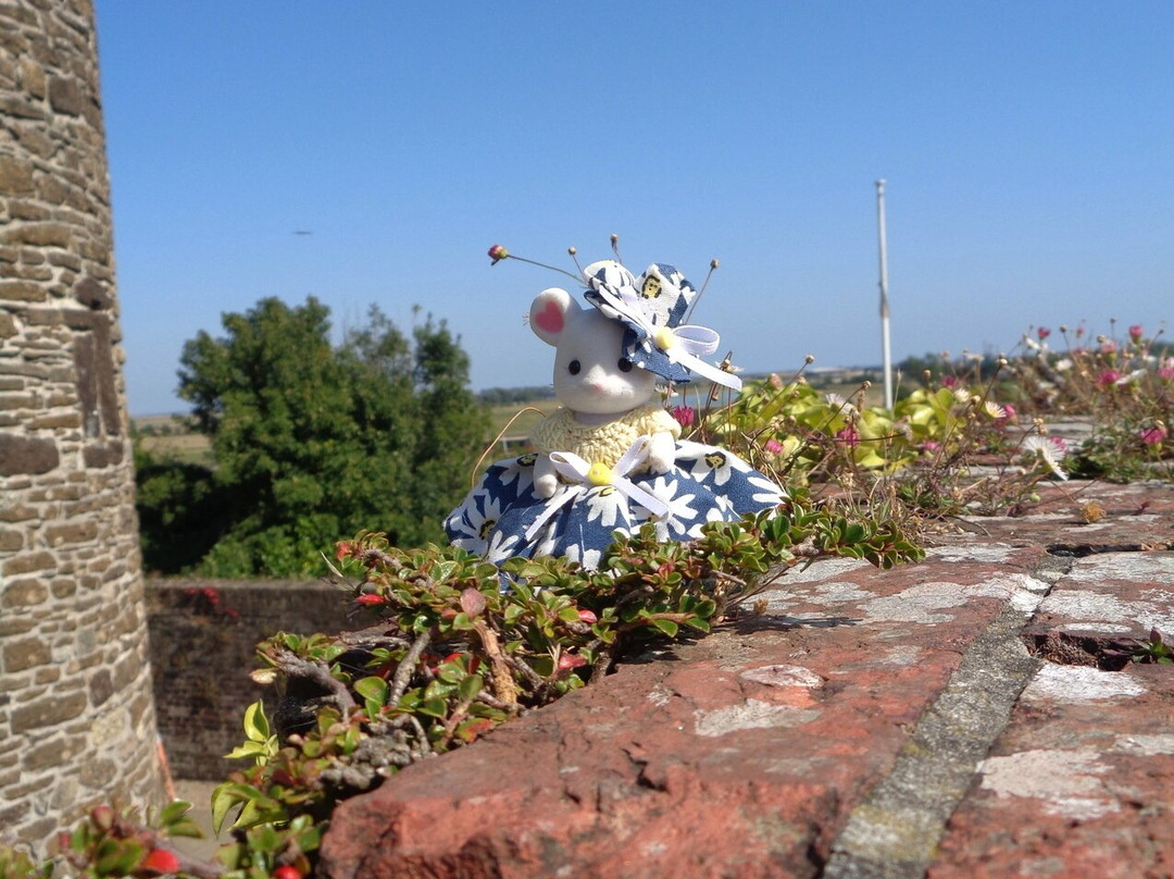 Ypres Tower Museum, Rye Castle-拉伊必去景点