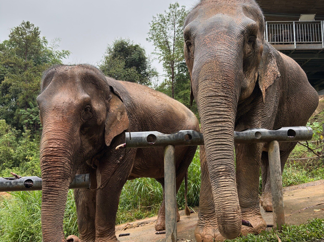 Chang Chill-Mae Win必去景点