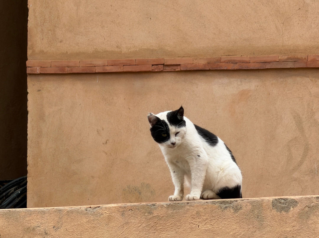 Plage d'Imsouane-Imsouane必去景点