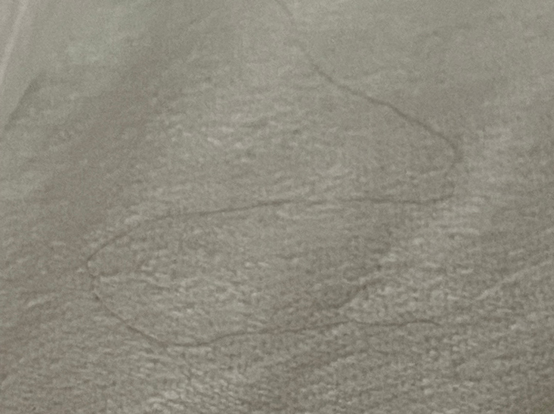 Green Bird Inn主图