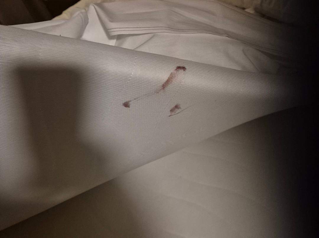 Bastion Hotel Dordrecht Papendrecht主图