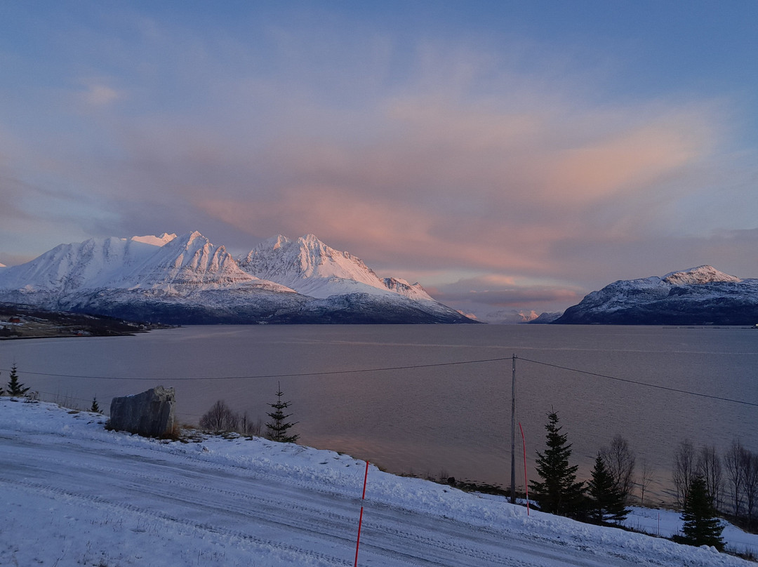 阿克提克帕诺拉玛旅舍主图
