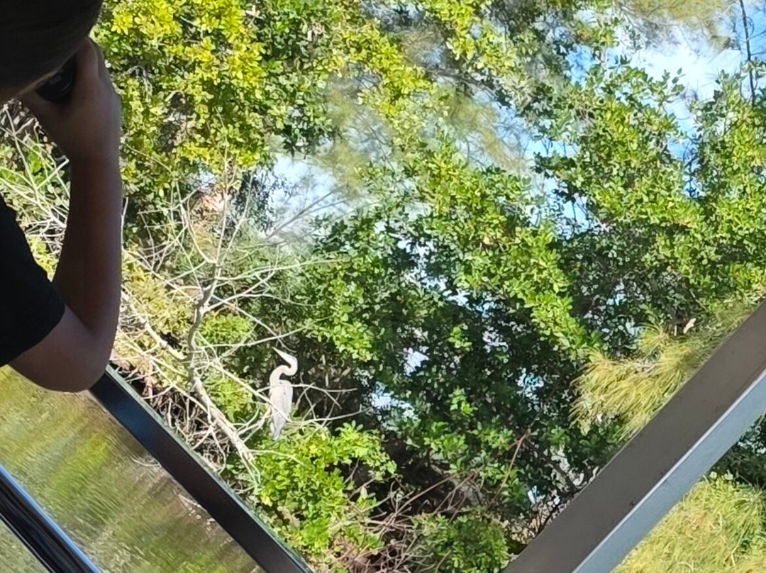 FAU Harbor Branch Oceanographic Institute-匹尔斯堡必去景点