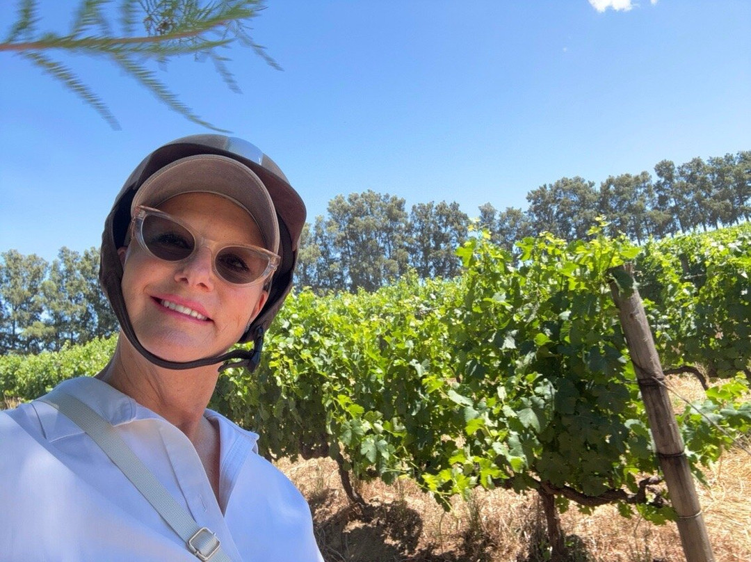 Equine Sport Centre-斯泰伦博斯必去景点