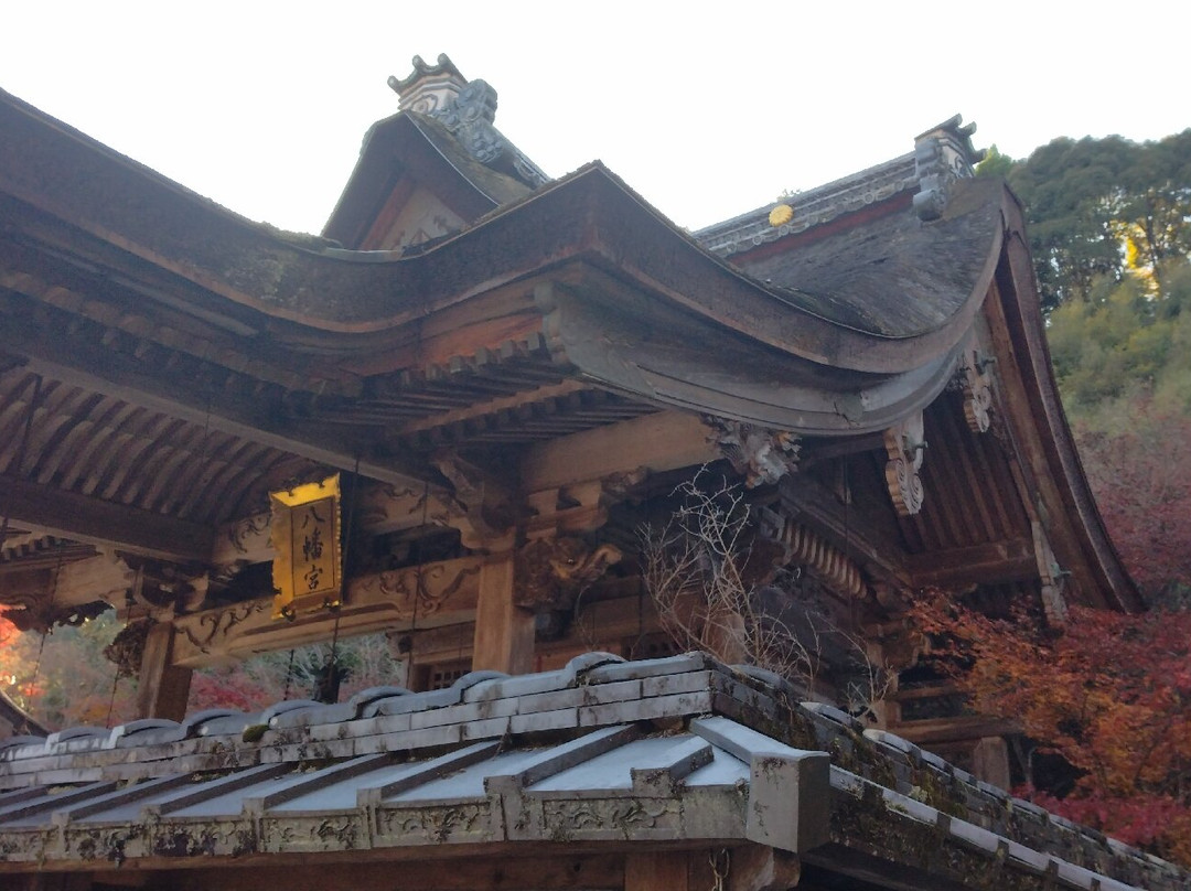 Kuwayama Shrine-龟冈市必去景点