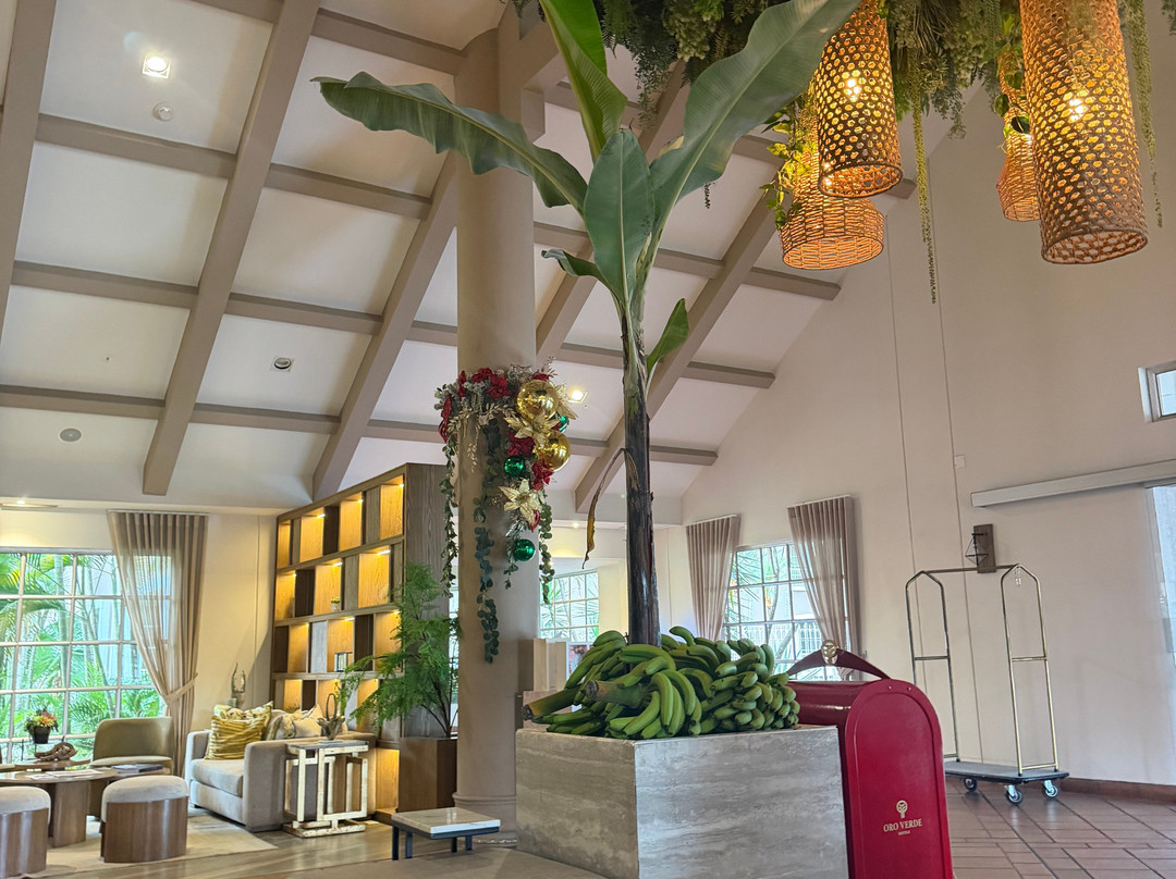 Oro Verde Machala主图