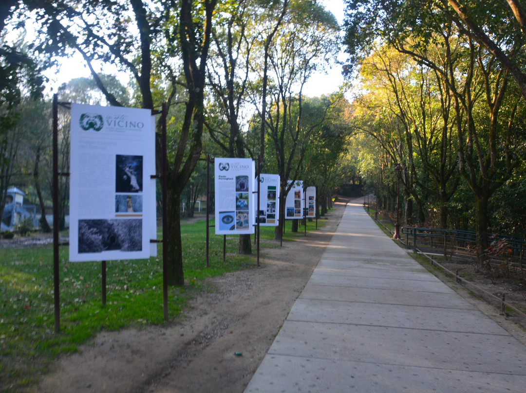 Sacro Bosco-博马尔佐必去景点