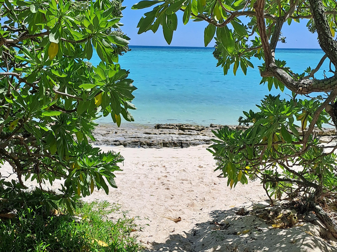 Gladstone Region Tours-Gladstone必去景点