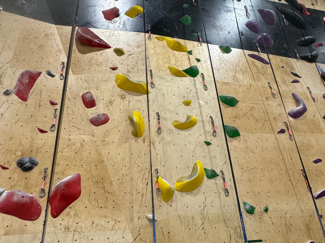 Høyt Under Taket Letohallen