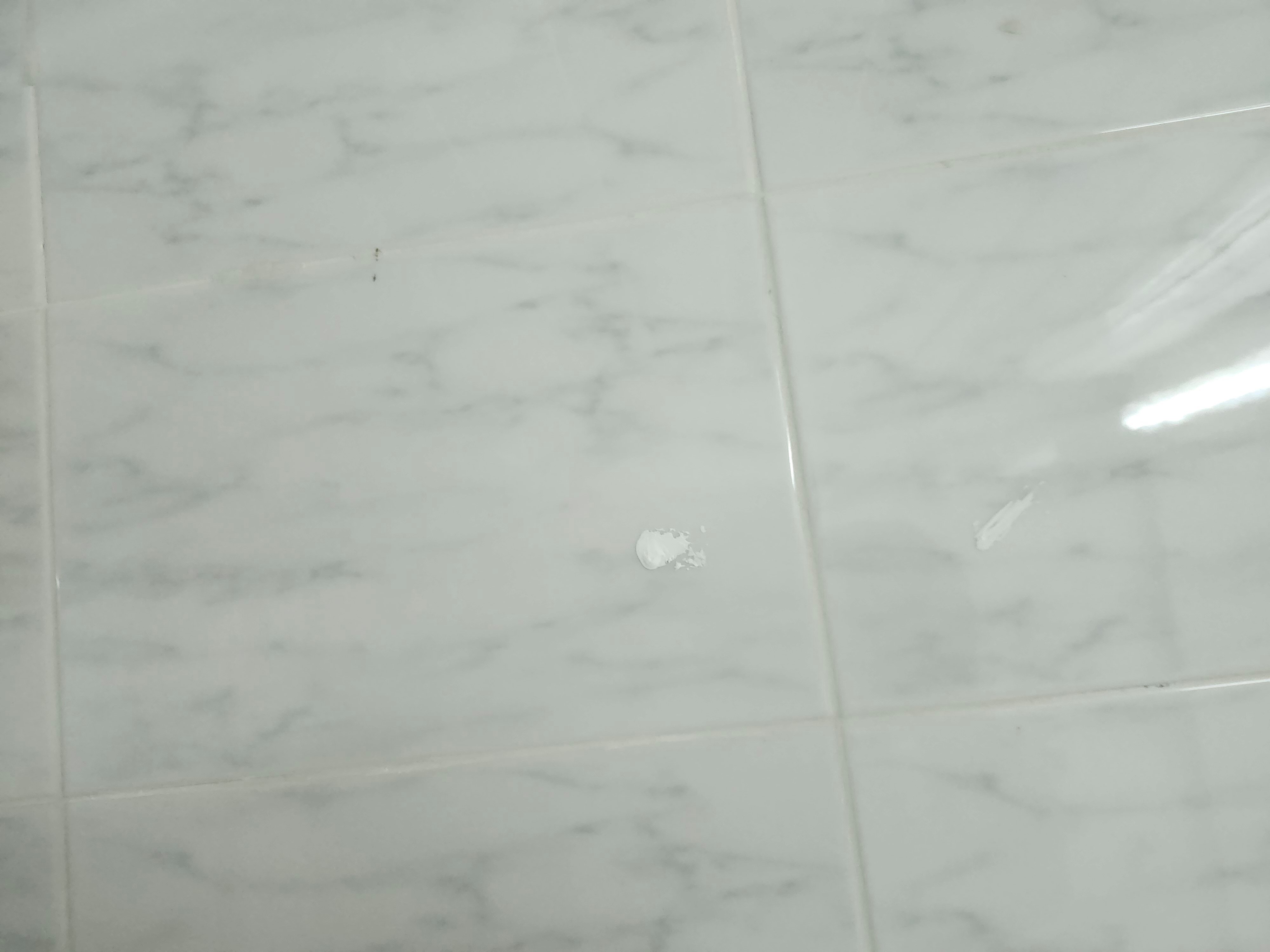 Casa Marina Beach & Reef-官方