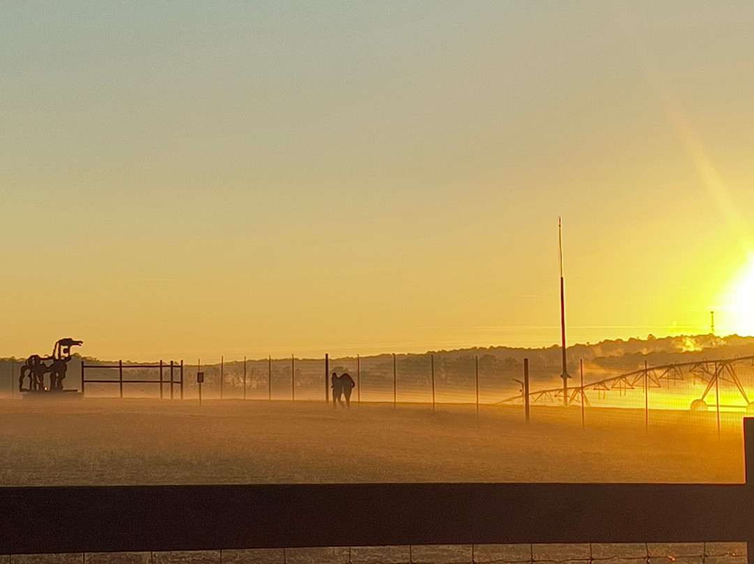 Iron Horse-阿森斯必去景点