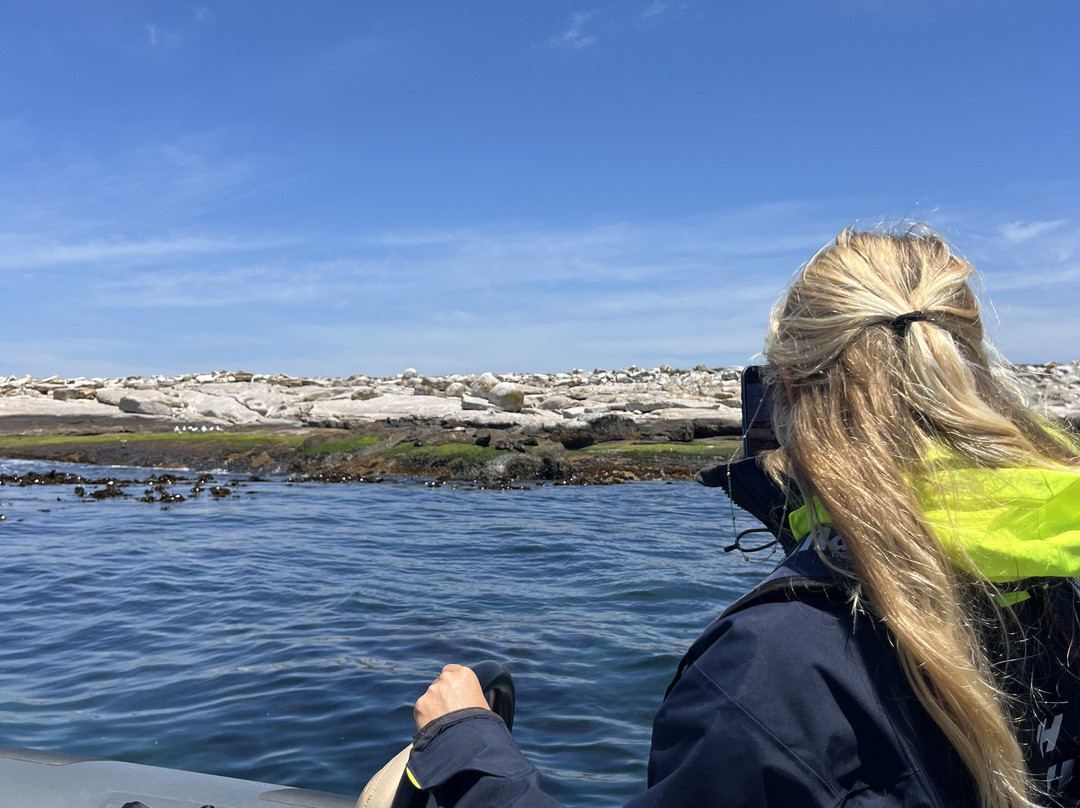 Cape Coast Expeditions-Yzerfontein必去景点