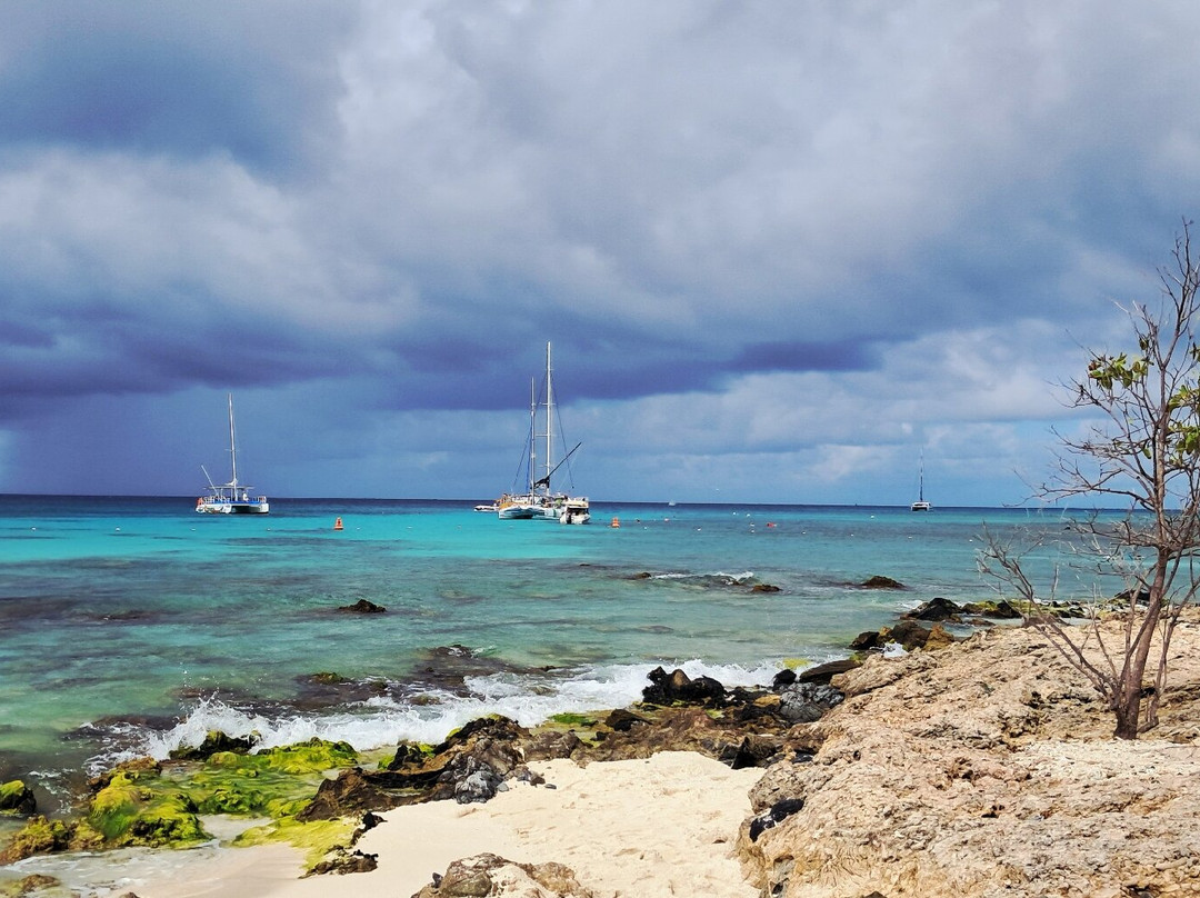 Boca Catalina-Noord必去景点