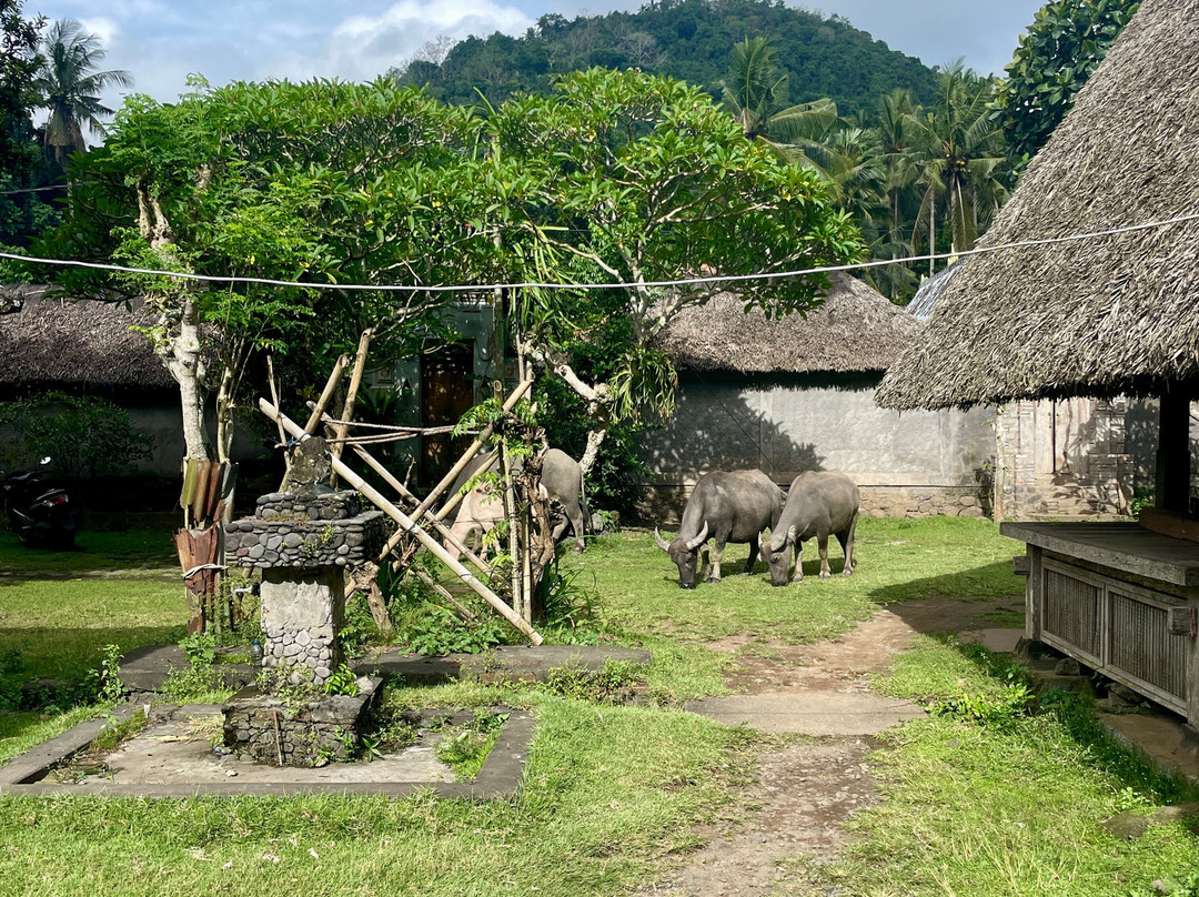 Trekking Candidasa-甘地达萨必去景点