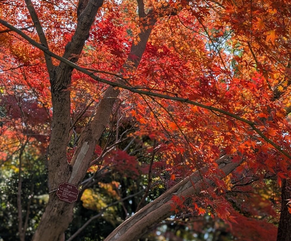 太仓南园公园-太仓市必去景点