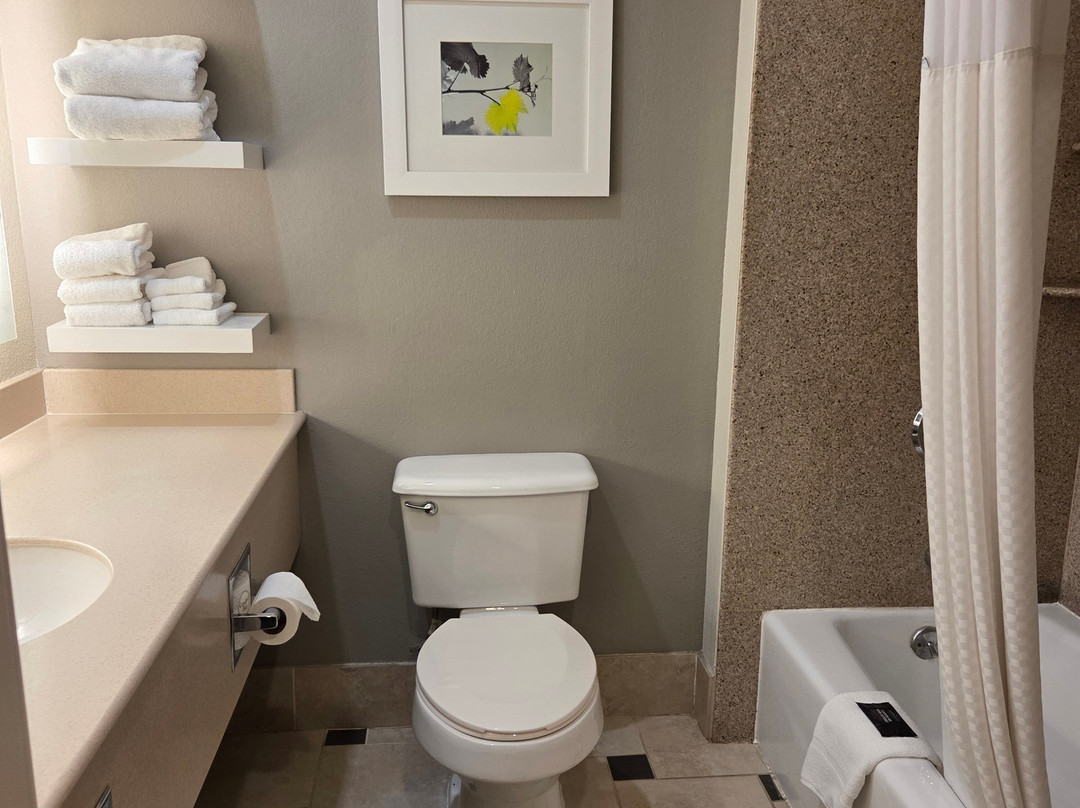 普莱森顿都柏林拉金塔旅馆及套房酒店主图