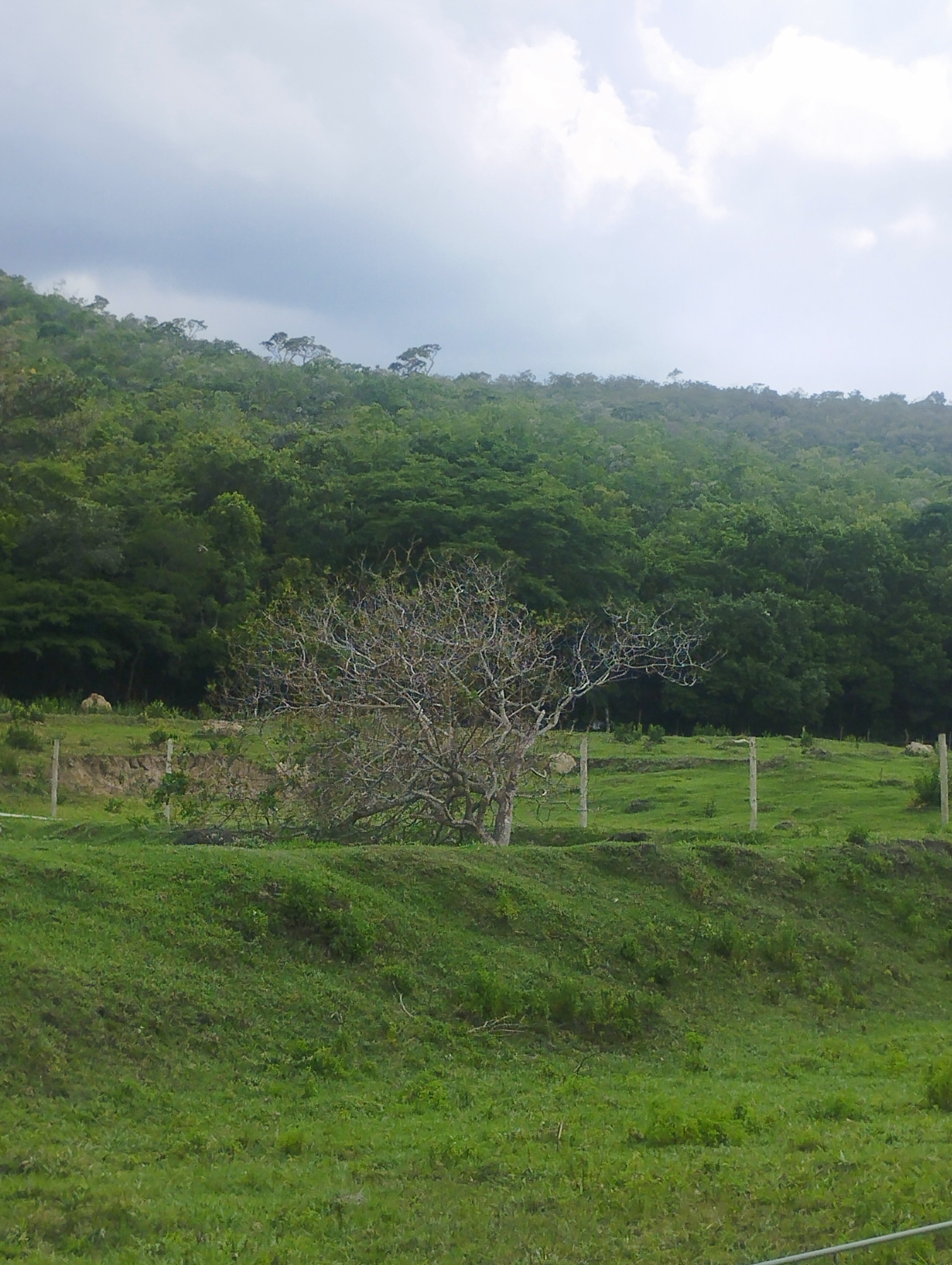 Cachoeira Da Serra, Pousada e Chales-官方