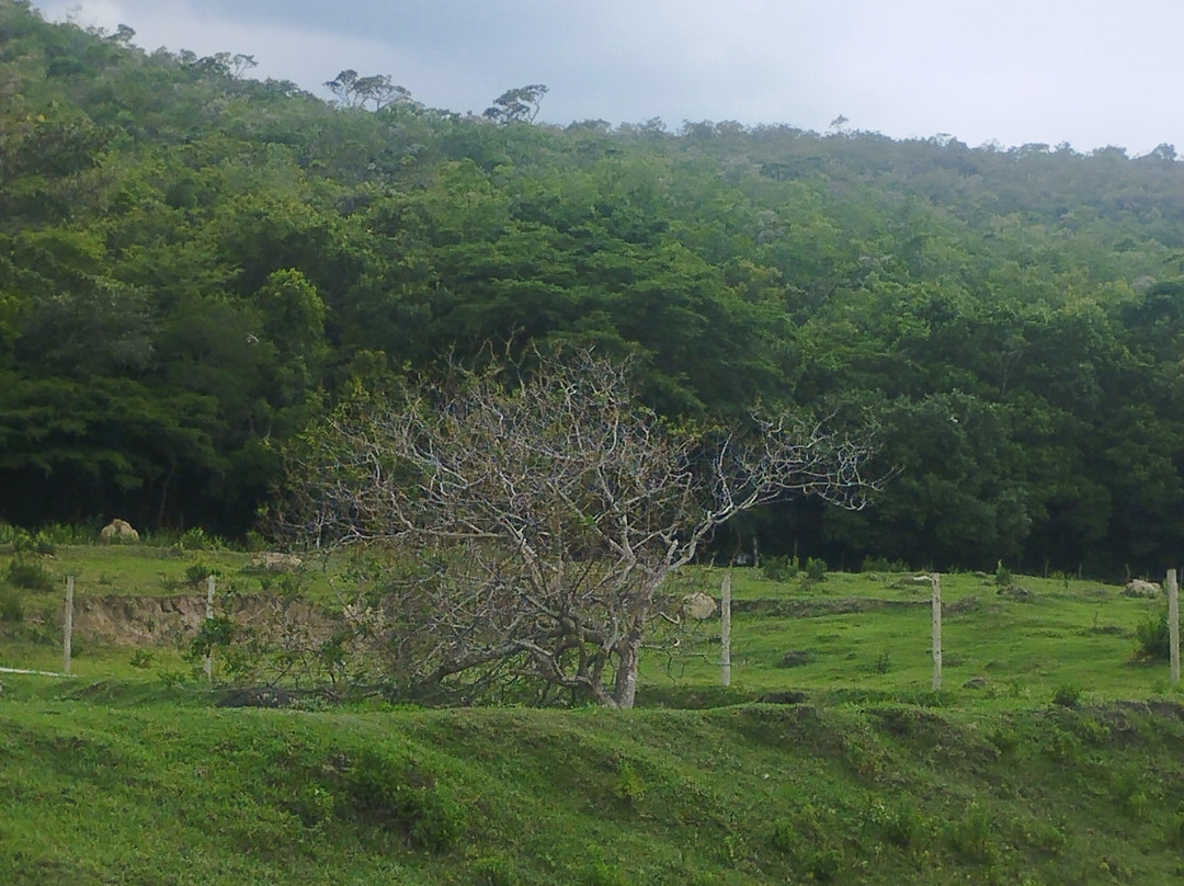 Cachoeira Da Serra, Pousada e Chales主图