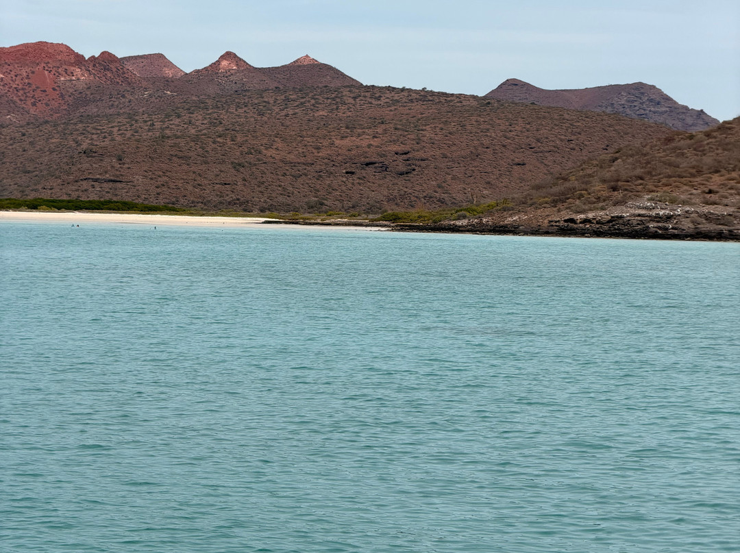 Baja Off Shore-拉巴斯必去景点