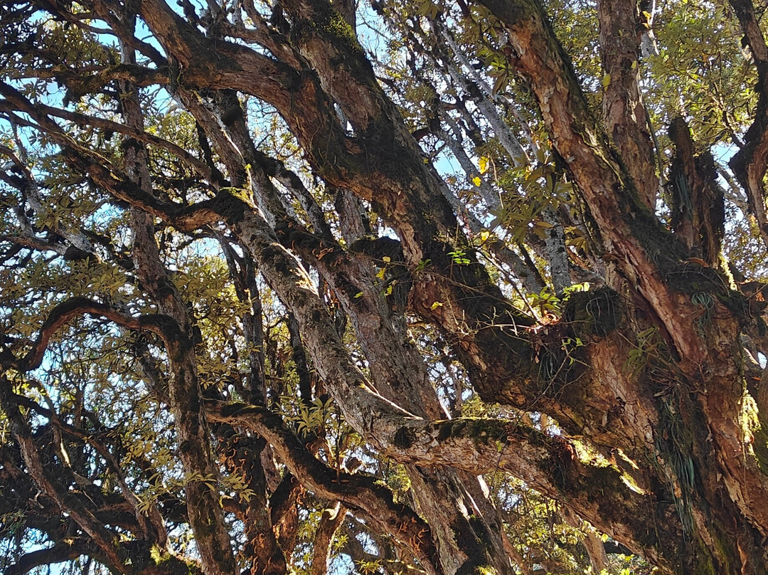 Aventura Trek Nepal-加德满都必去景点