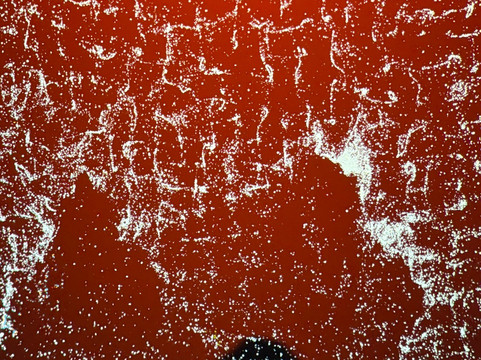 Lumia Gallery-布拉格必去景点