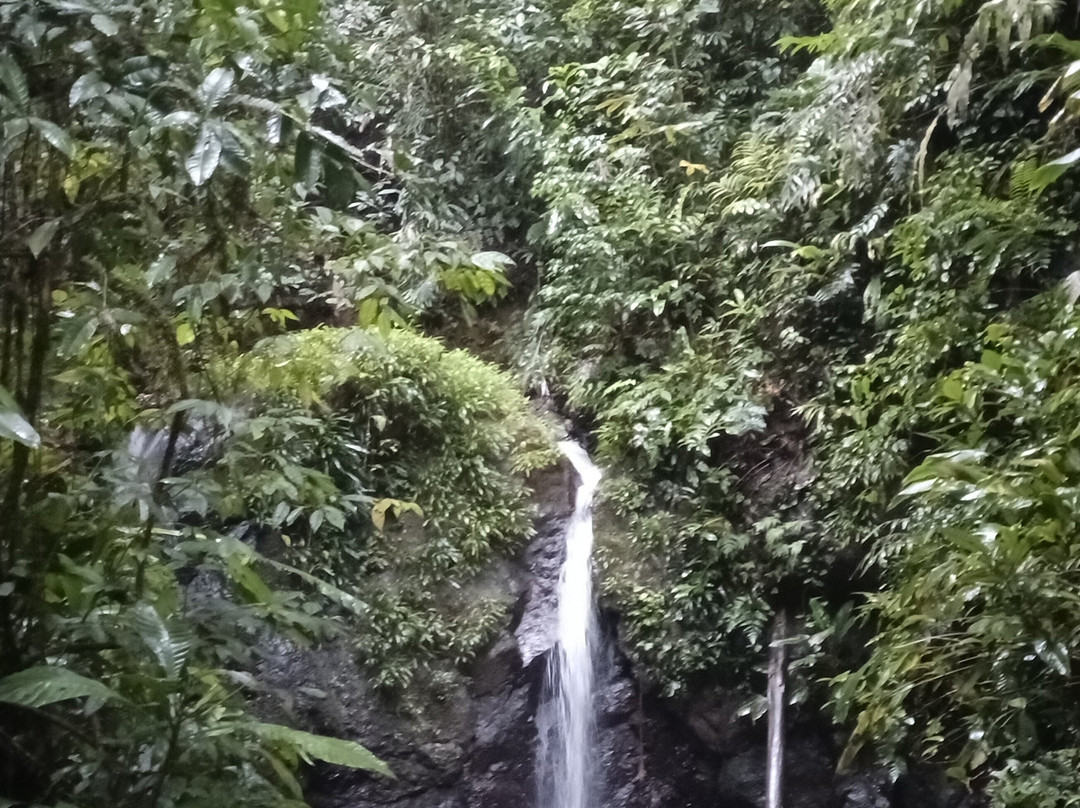 Piedra Piedra Lodge主图