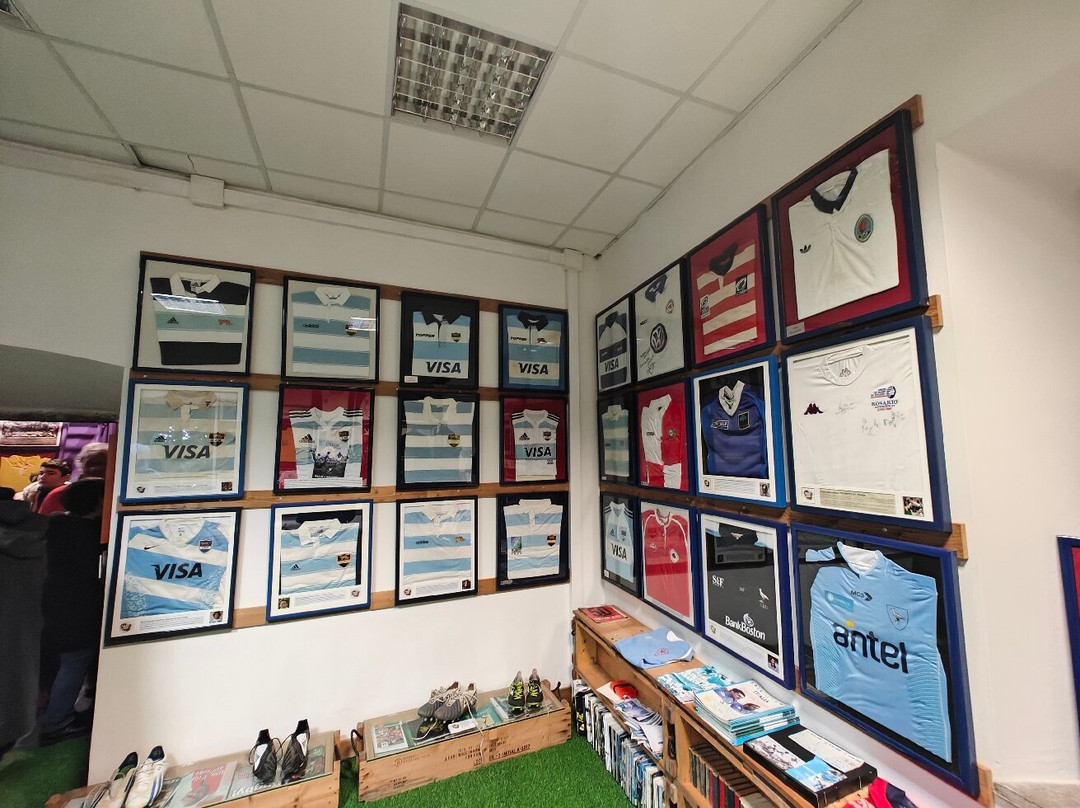 Fango e Sudore -  Il museo del Rugby-Artena必去景点