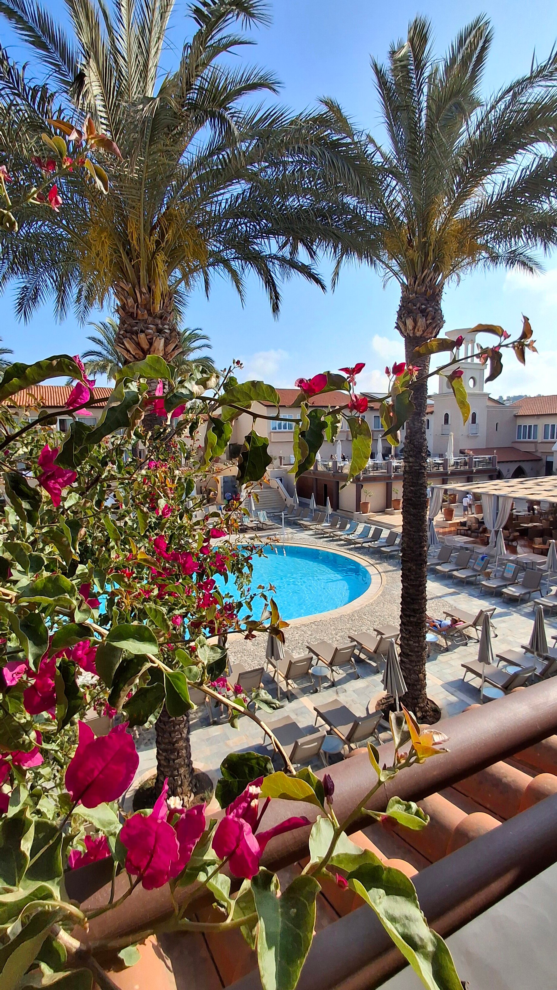 纳帕广场酒店-官方