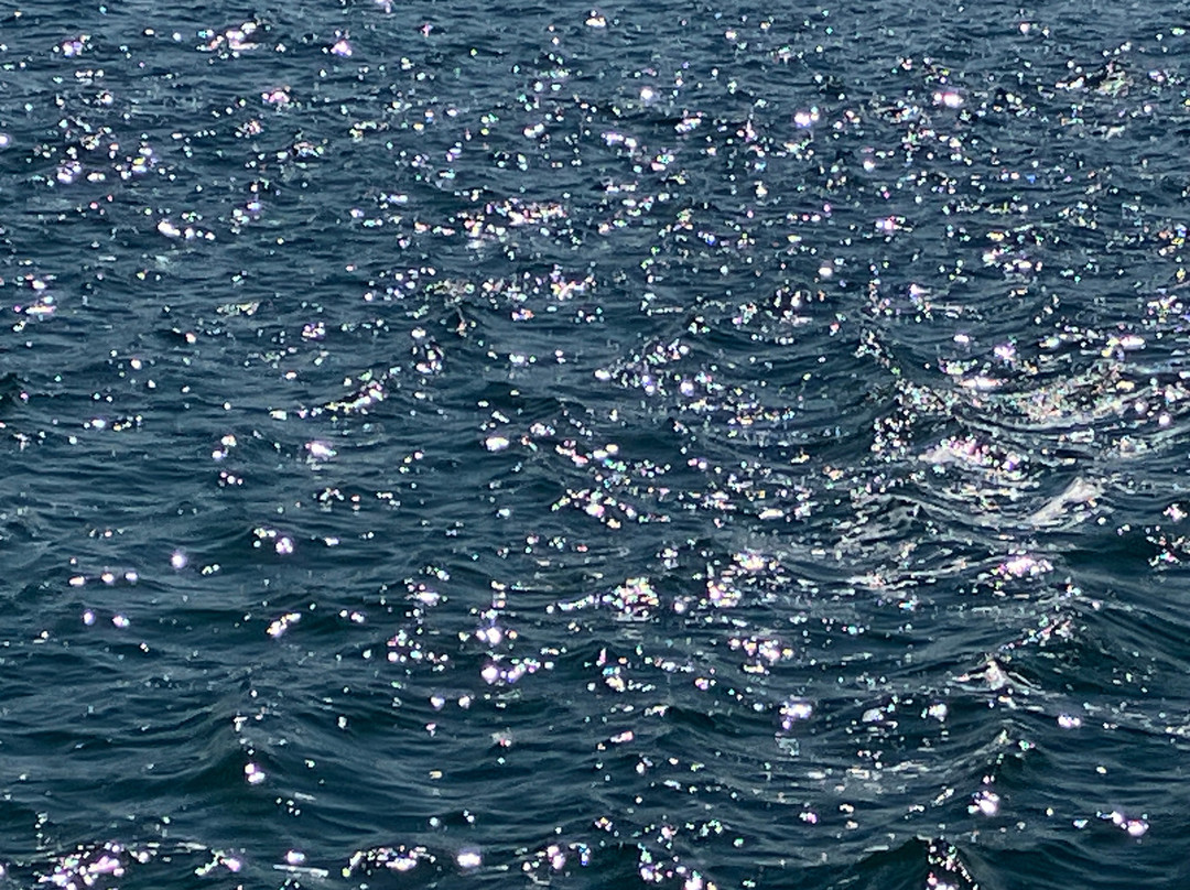 底特律河滨-底特律必去景点